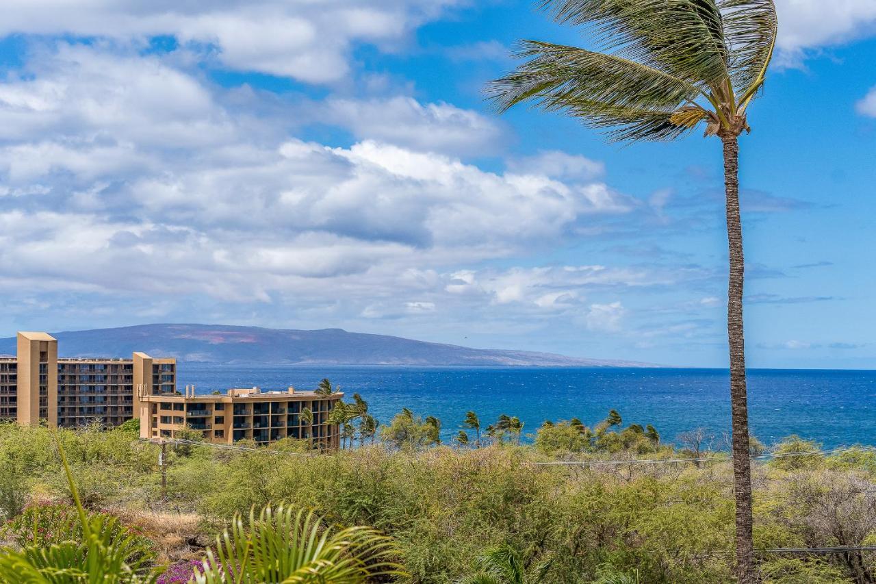 Maui Kamaole A204 - Romvari Realty 키헤이 외부 사진